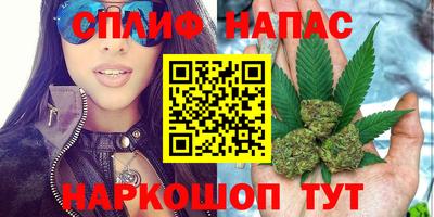 кокс Нальчик