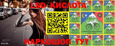 кокс Нальчик