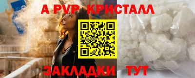 кокс Нальчик