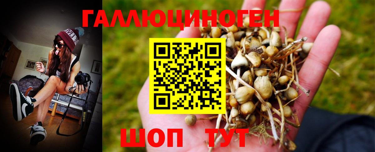 Галлюциногенные грибы GOLDEN TEACHER  Псилоцибиновые грибы Psilocybe  Вход с VPN  Петровск 