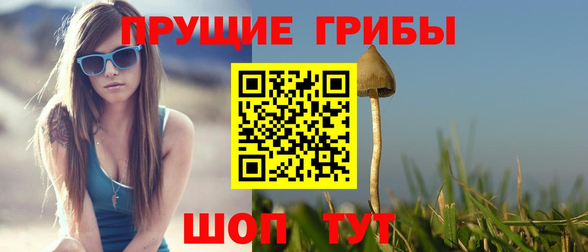 Псилоцибиновые грибы прущие грибы Петровск
